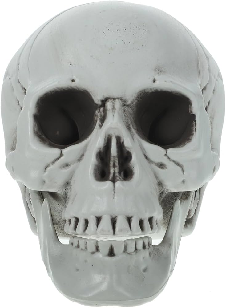 BAY GHOST 