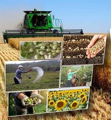 Başkan Hatipoğlu: “Tarım destekleri yeniden değerlendirilmeli”